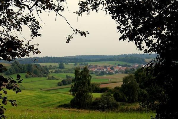 AreaSummer1KM