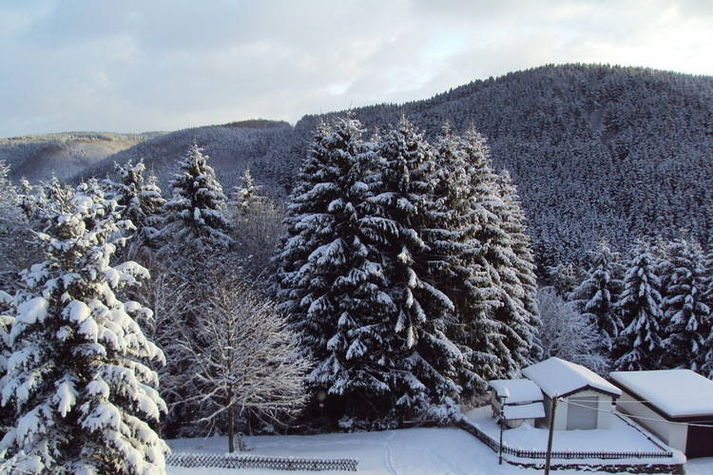 ViewWinter