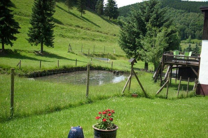 GardenSummer