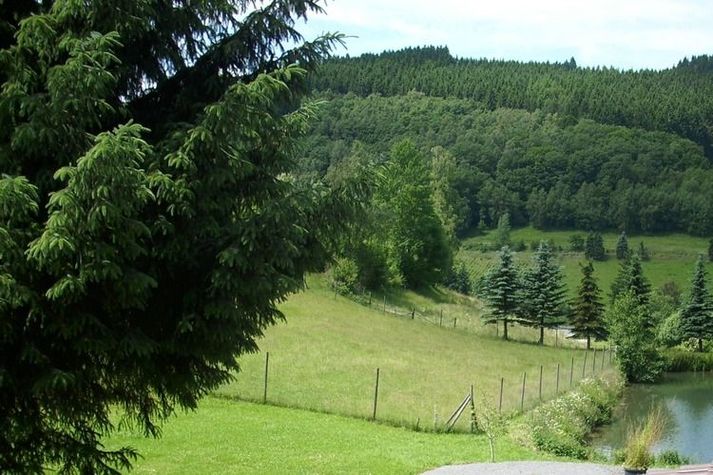 ViewSummer