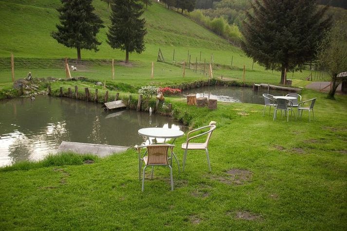 GardenSummer