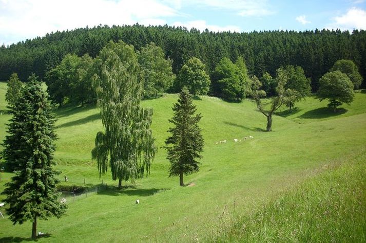 AreaSummer1KM
