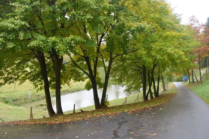 AreaSummer1KM