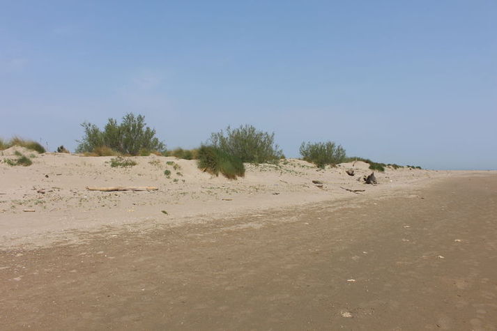 AreaSummer1KM