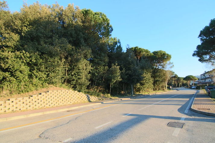AreaSummer1KM