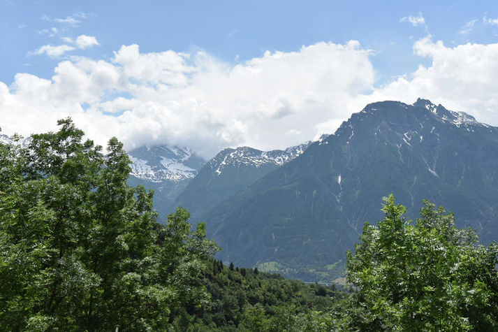 ViewSummer