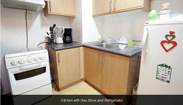 Kitchen with gas stove and refrigerator