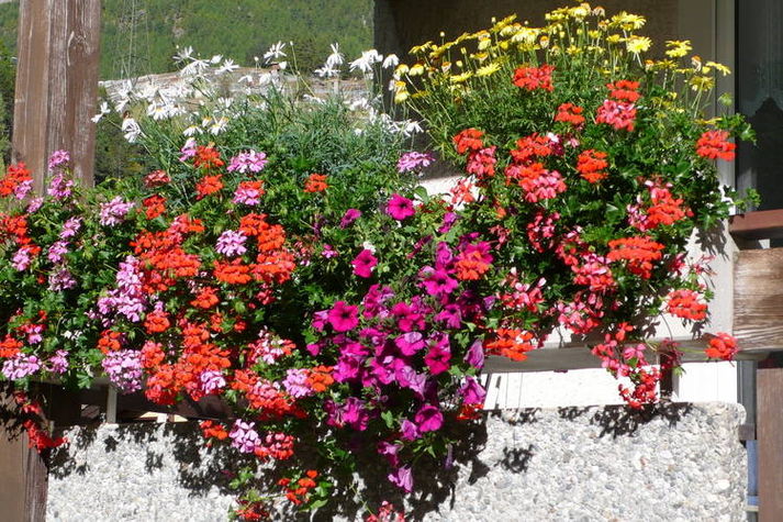 TerraceBalcony