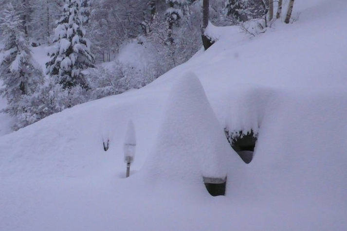 ViewWinter