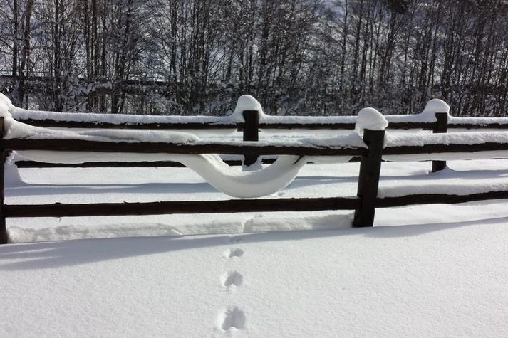 GardenWinter