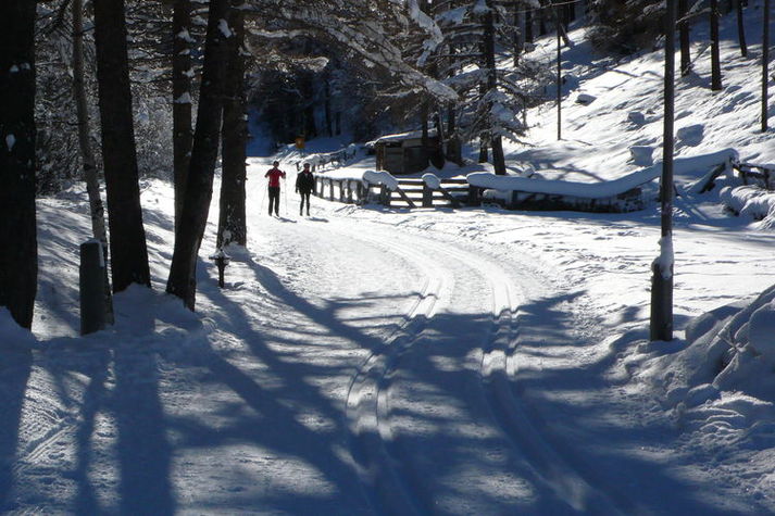 AreaWinter1KM