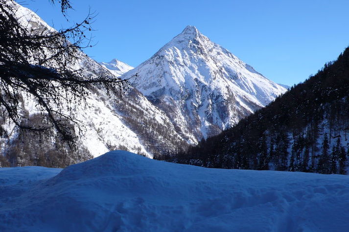 ViewWinter
