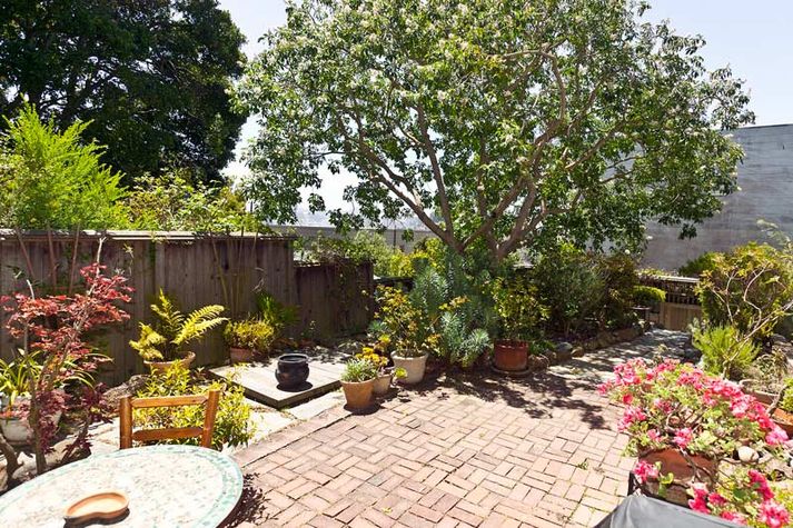 Zen like garden!