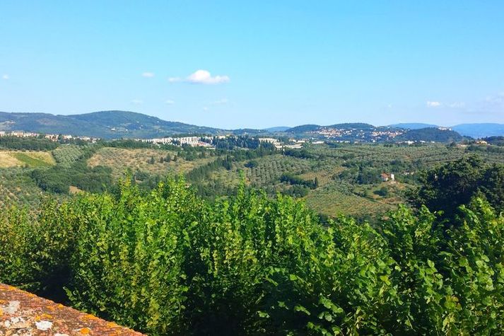 ViewSummer