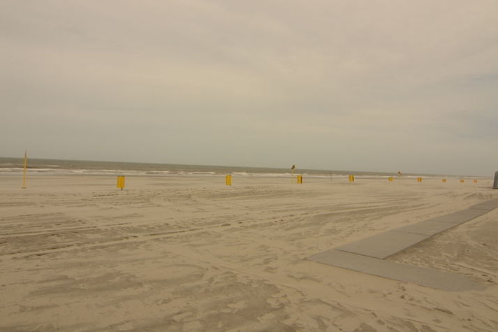 AreaSummer1KM