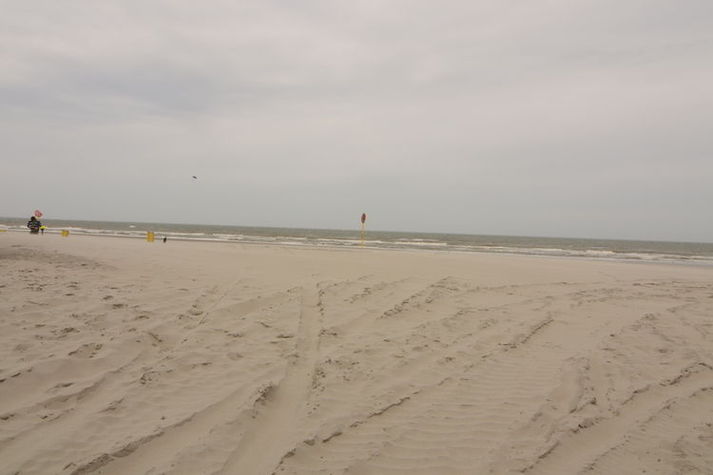 AreaSummer1KM