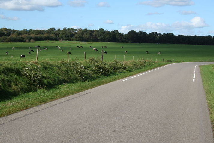 AreaSummer1KM