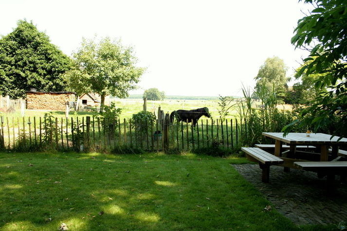 GardenSummer