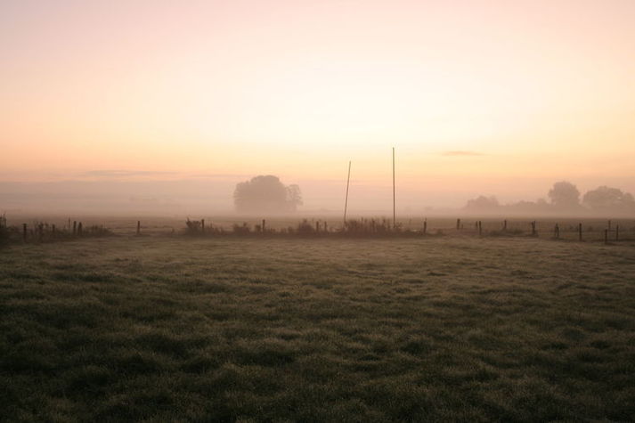 GardenWinter
