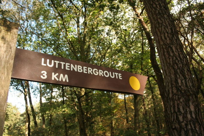 AreaSummer1KM