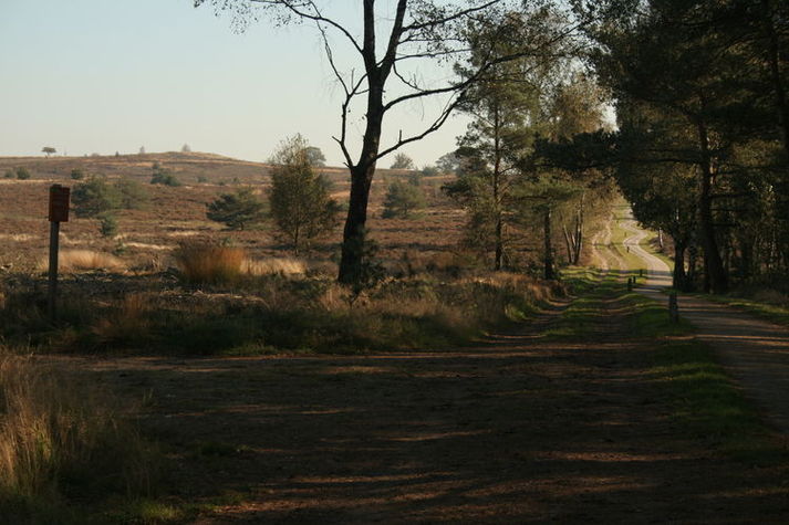 AreaSummer5KM