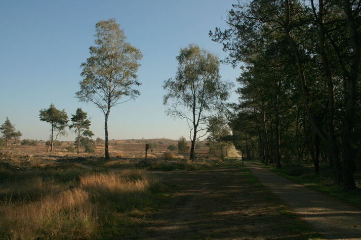 AreaSummer5KM