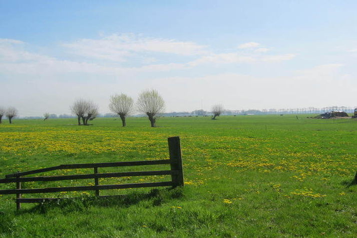 ViewSummer