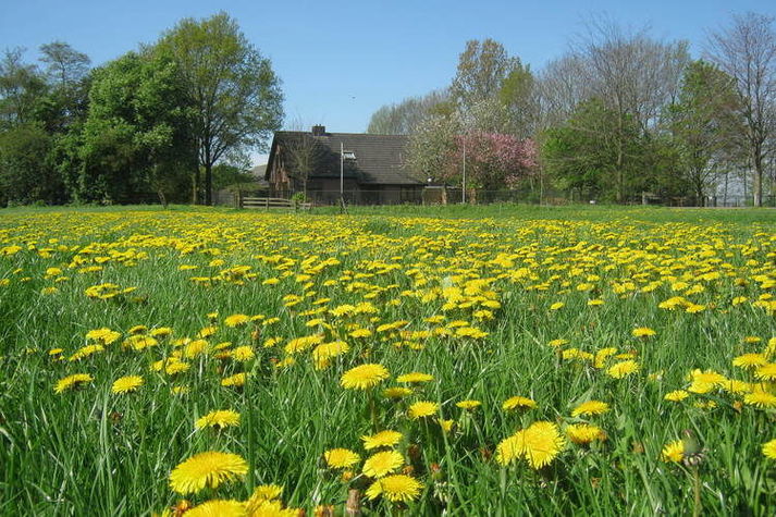 ExteriorSummer