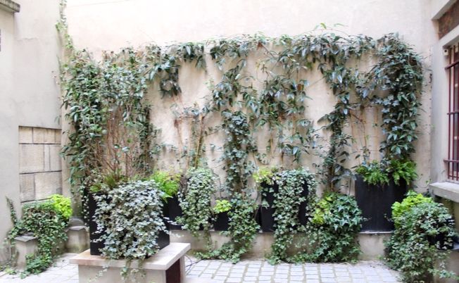 Paris Apartment Rental; Vacation in Paris
Rent and relax with we-Paris in the charming and spacious Marais Apartment! #ParisApartmentRental #VacationinParis