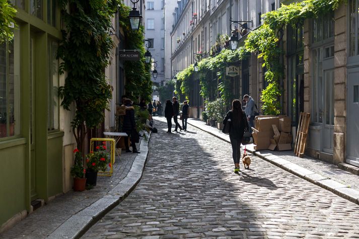 Paris Apartment Rental; Vacation in Paris
Rent and relax in the dreamy Bonjour Apartment! #ParisApartmentRentals #VacationinParis