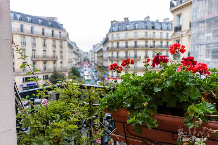 Paris Apartment Rental, Vacation in Paris
Rest and relax after a long day of discovering Paris in this quaint little studio apartment. #ParisApartmentRental