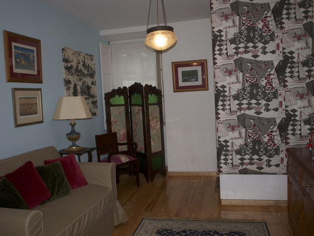 Living room with sofa bed for two people. 