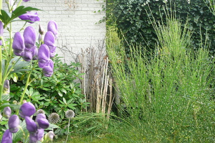 ExteriorSummer