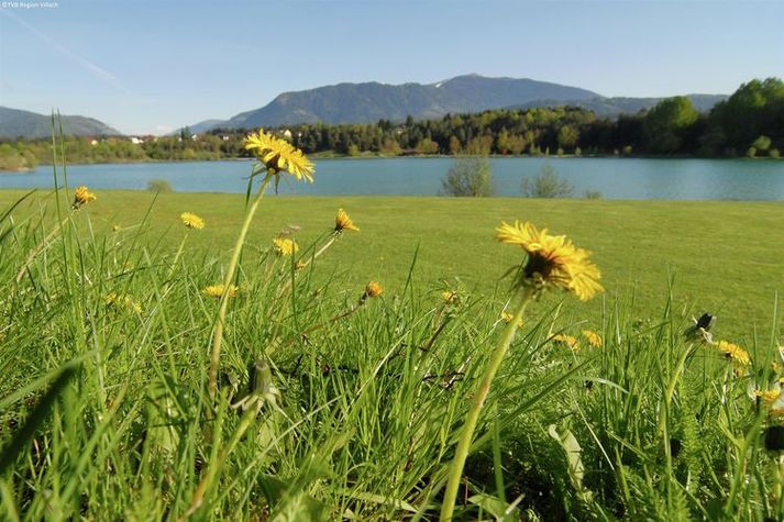 AreaSummer20KM