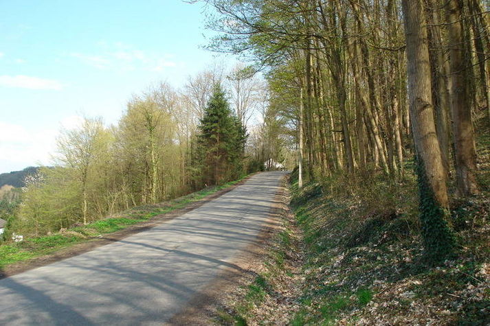 AreaSummer1KM
