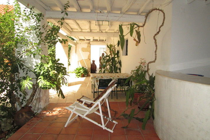GardenSummer