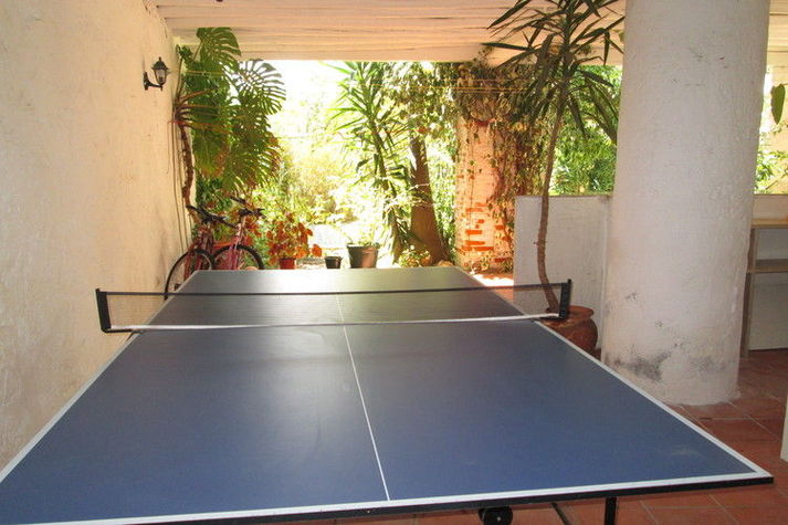 GardenSummer