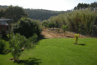 GardenSummer