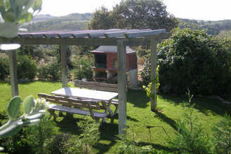 GardenSummer