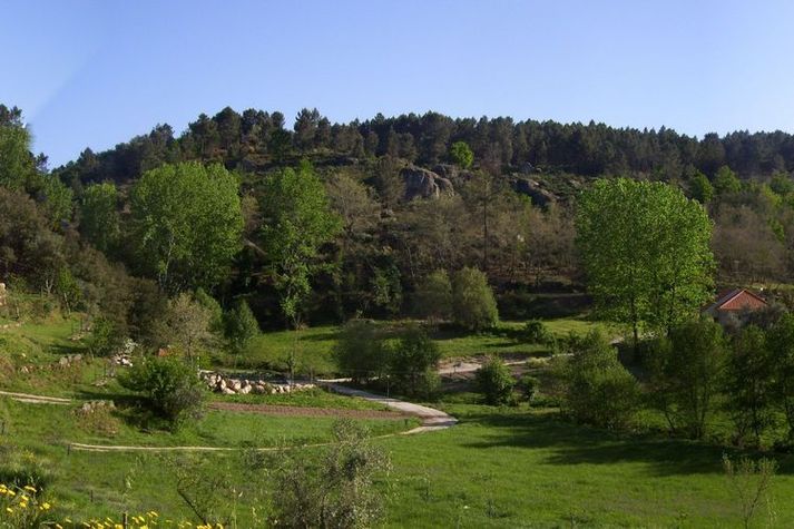ViewSummer