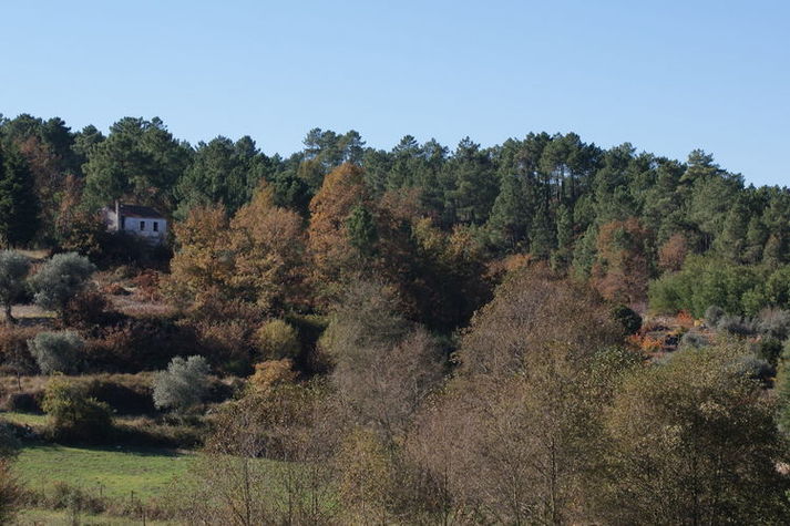 ViewWinter
