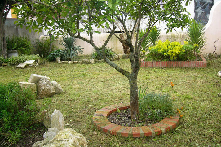GardenSummer