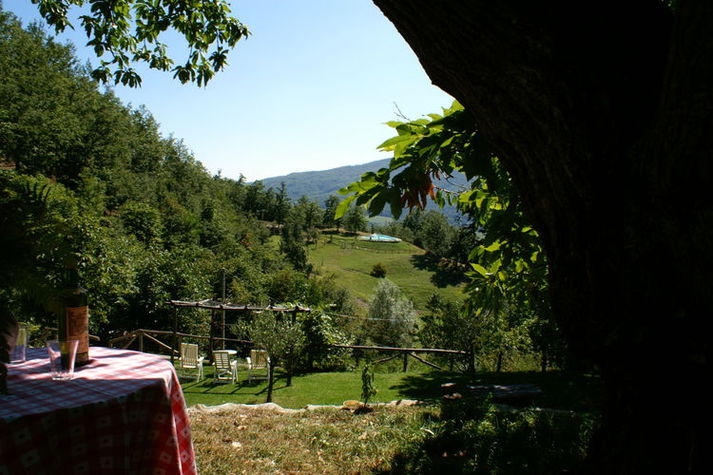 ViewSummer