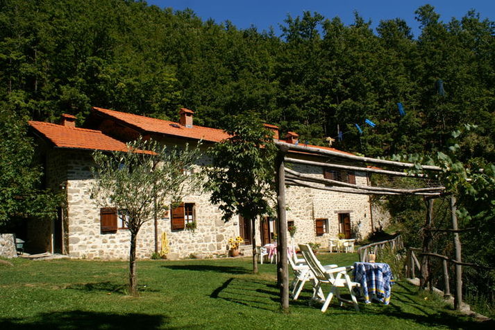 GardenSummer