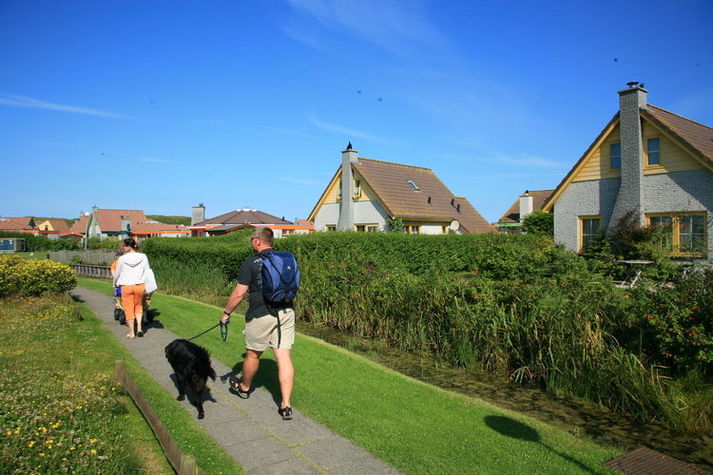 AreaSummer1KM