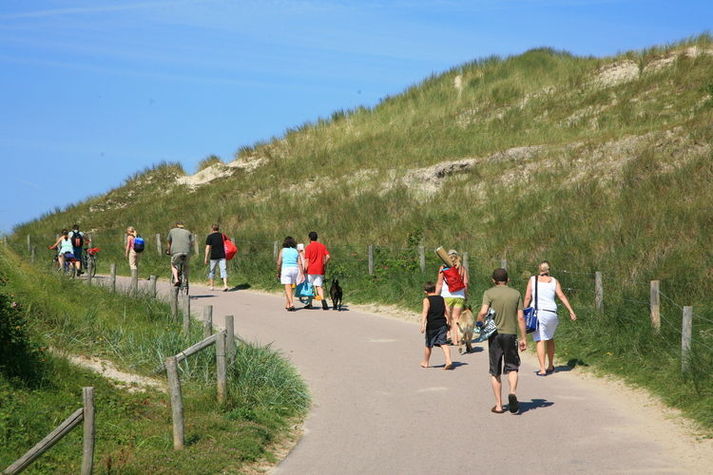 AreaSummer1KM