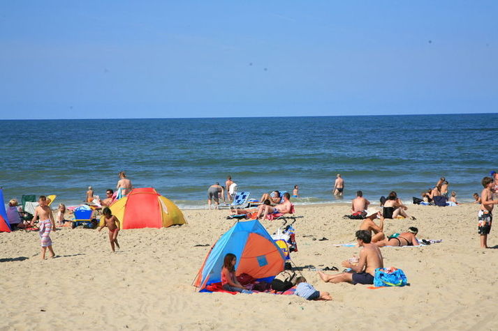 AreaSummer1KM
