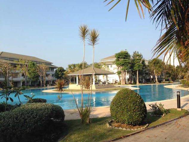 Big pool and lots of trees