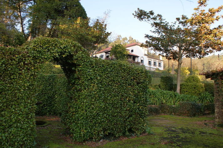 GardenSummer