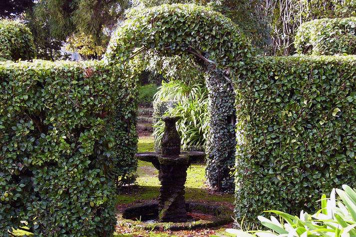 GardenSummer